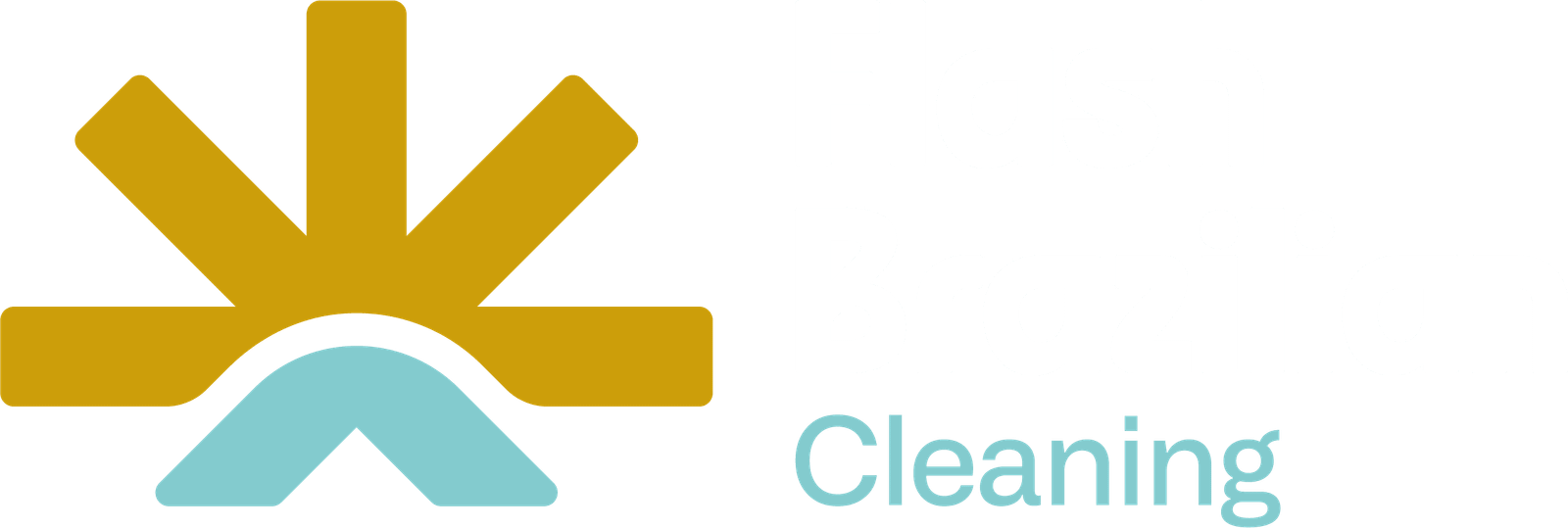 Flash Brazilian Cleaning